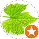 Michaela te Laar